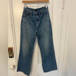 Uniqlo Wide Straight Blue Jeans